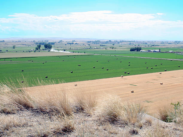 Farming in Montana stock photo