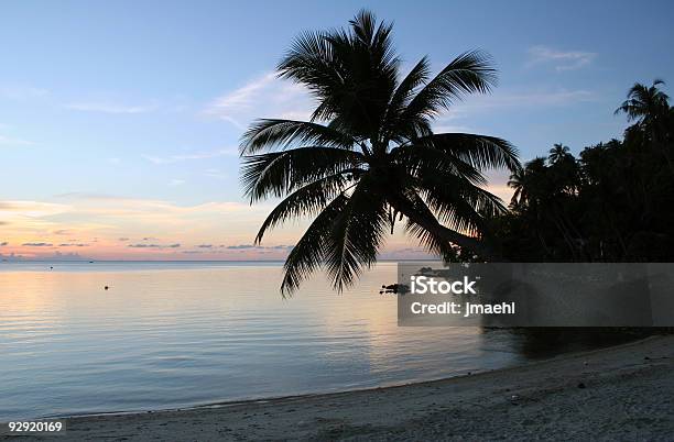 Photo libre de droit de Coucher De Soleil Sur La Plage De Pureté banque d'images et plus d'images libres de droit de Arbre - Arbre, Arbre tropical, Archipel de Ang Thong