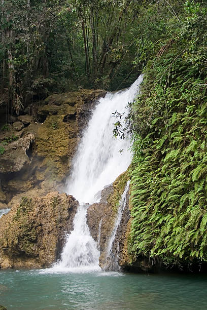 поднятие рук в положение y река водопад - waterfall tropical rainforest water jamaica стоковые фото и изображения