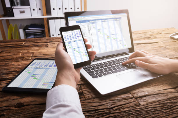 istock Businessperson Analyzing Gantt Chart On Laptop 929211678