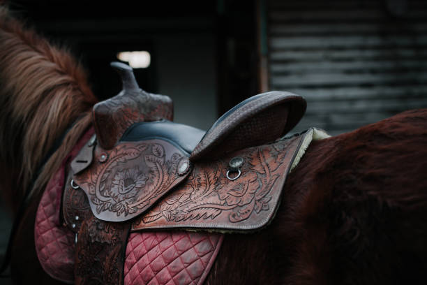 istock Saddle on the back of a brown horse 929238970