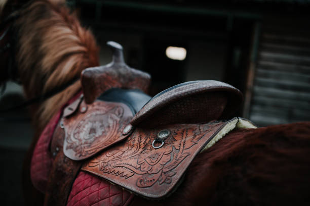 saddle com design com pés em uma volta de um cavalo - leather harness - fotografias e filmes do acervo