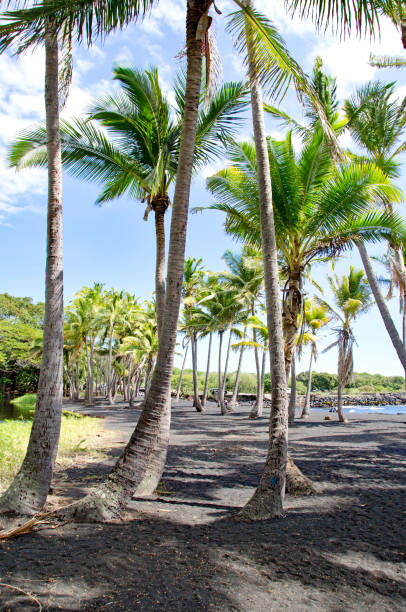 istock Black Sand Beach on the Big Island, Hawaii 929253208