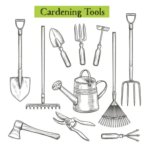 Vector illustration of Gardening tools