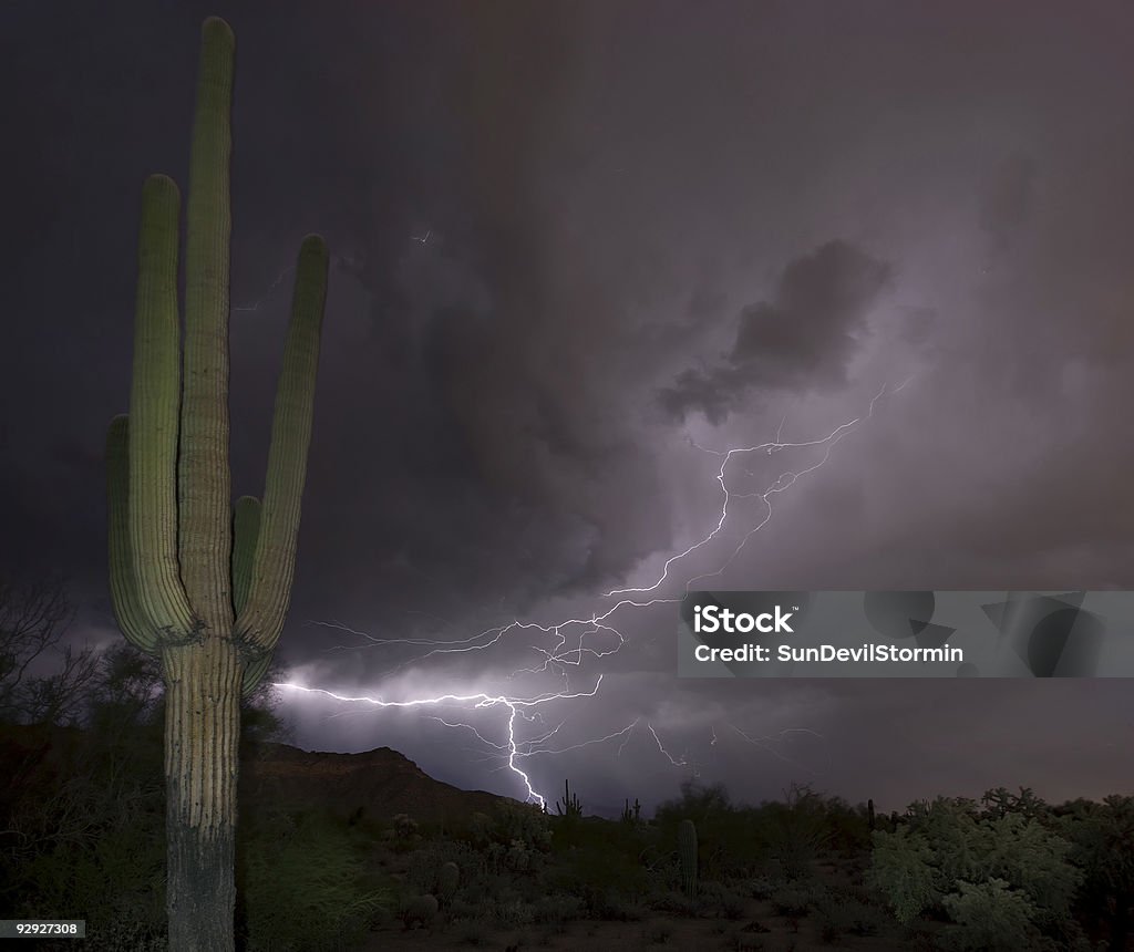 Arizona Burza z piorunami - Zbiór zdjęć royalty-free (Błyskawica)