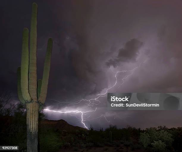 Arizona Burza Z Piorunami - zdjęcia stockowe i więcej obrazów Błyskawica - Błyskawica, Karnegia olbrzymia, Stan Arizona