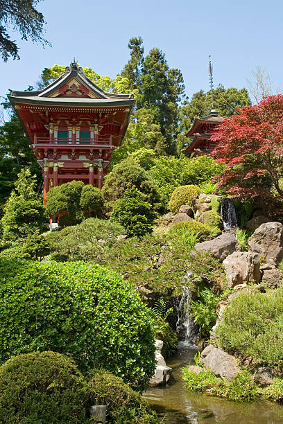 istock Japanese Garden in San Francisco 92927866