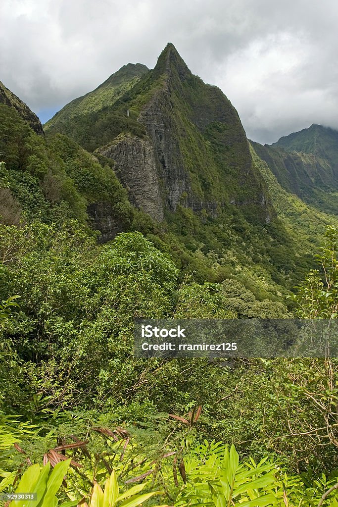 Pali lookout - Royalty-free Cultura Havaiana Foto de stock