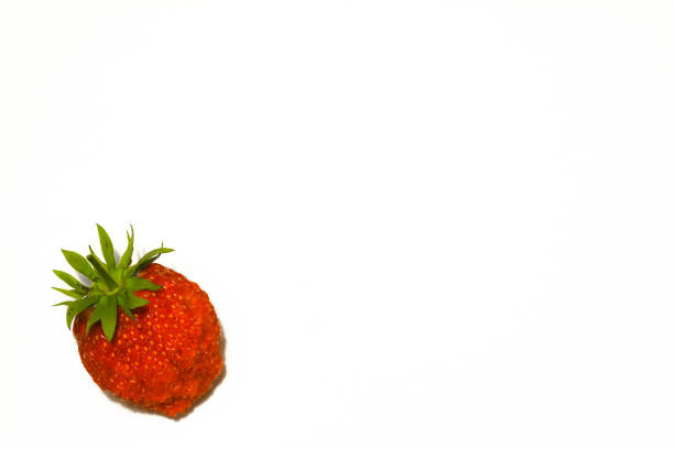 istock One large strawberry isolated on a white background 929305298