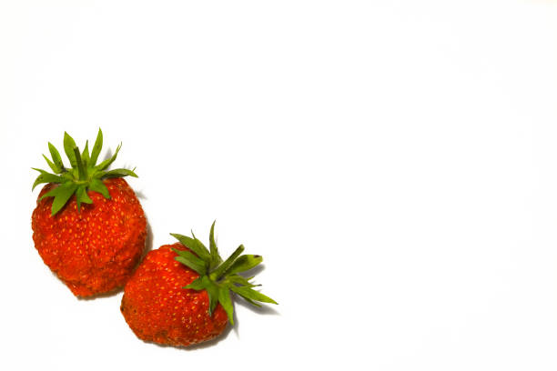 istock Two ripe strawberries isolated on white background 929305314