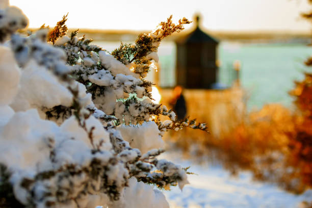 뉴잉글랜드 겨울에 등 대입니다. - maine lighthouse winter ice 뉴스 사진 이미지