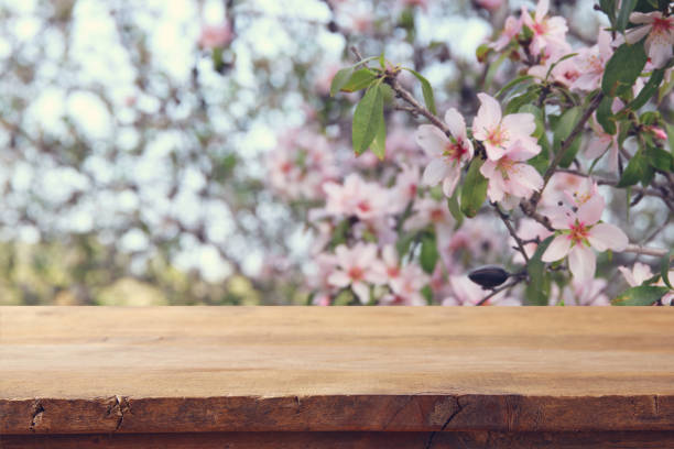 istock wooden rustic table in front of spring cherry blossoms tree. product display and picnic concept. 929335004