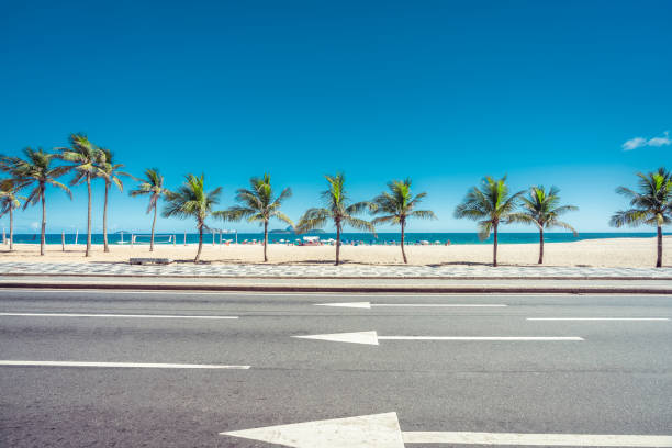 sonnigen sommertag mit palmen am strand von ipanema, rio de janeiro, brasilien - rio de janeiro copacabana beach ipanema beach brazil stock-fotos und bilder