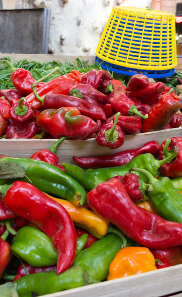 Green, Gold and Red Anaheim Peppers Close up of green, gold and red anaheim chile peppers being sold at a farmers' market in Aix en Provence, France. anaheim pepper photos stock pictures, royalty-free photos & images