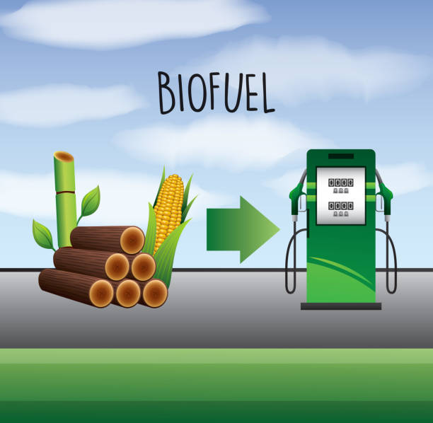 ilustrações, clipart, desenhos animados e ícones de alternativa de ecologia de biocombustível - fuel pump gasoline natural gas gas station