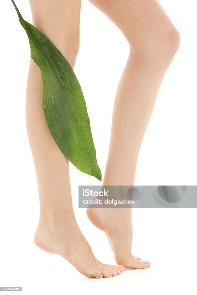 Weibliche Beine mit grünen Blatt - Lizenzfrei Attraktive Frau Stock-Foto