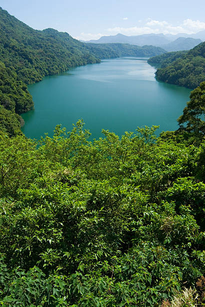 istock peaceful lake surround by forests and mountains 92942701