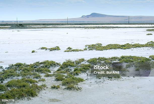 Lago Baskunchak Rússia - Fotografias de stock e mais imagens de Alimentação Saudável - Alimentação Saudável, Ao Ar Livre, Areia