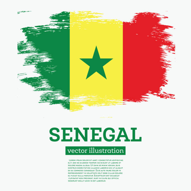 illustrazioni stock, clip art, cartoni animati e icone di tendenza di bandiera senegalese con pennellate. - senegal africa vector illustration and painting