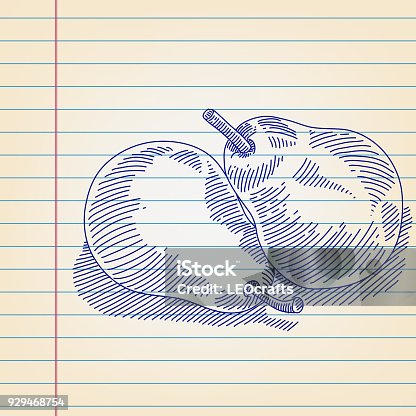 istock Pear Drawing on Lined paper 929468754