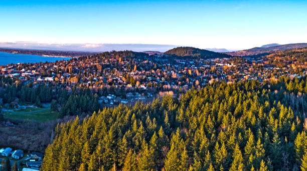 Forest View Bellingham Washington Fairhaven Neighborhood Forest View Bellingham Washington Fairhaven Neighborhood puget sound photos stock pictures, royalty-free photos & images
