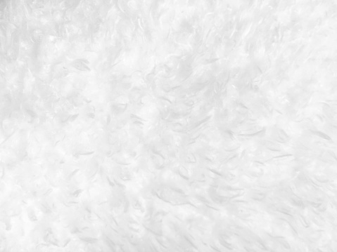 White wool blanket textured