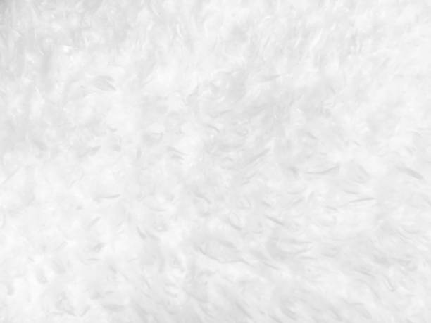 White wool blanket textured White wool blanket textured spandex stock pictures, royalty-free photos & images