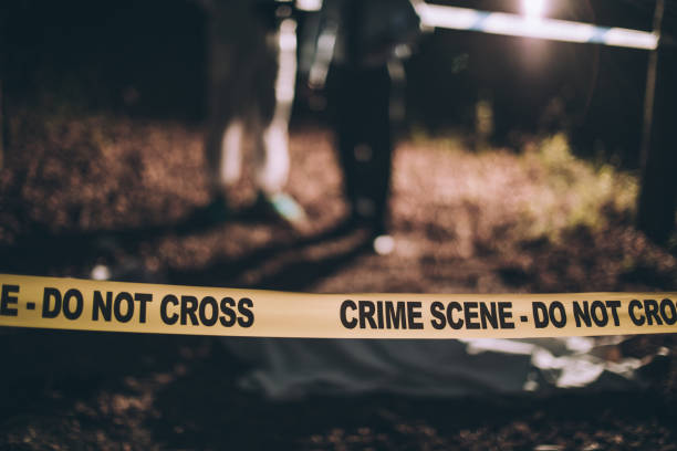 Do not cross Group of people, crime scene investigation, police and forensics doing their jobs, there is a dead body in the forest. crime scene stock pictures, royalty-free photos & images