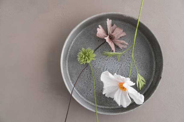 istock Paper cosmos flowers 929487496