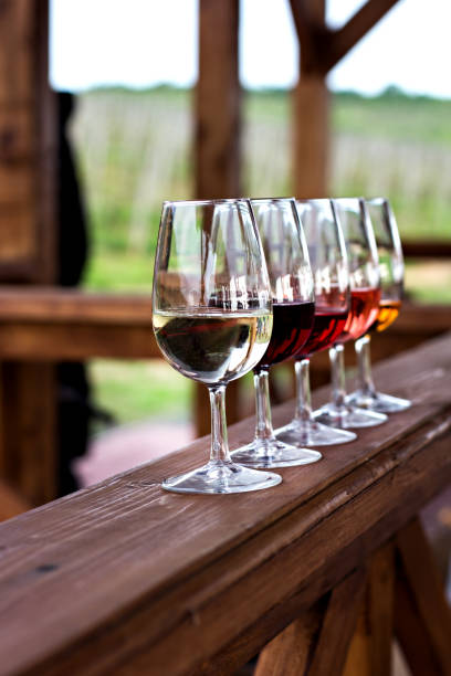 istock Glasses with wine. Red, pink, white wine in glasses. 929493542