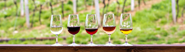 istock Glasses with wine. Red, pink, white wine in glasses. 929493634