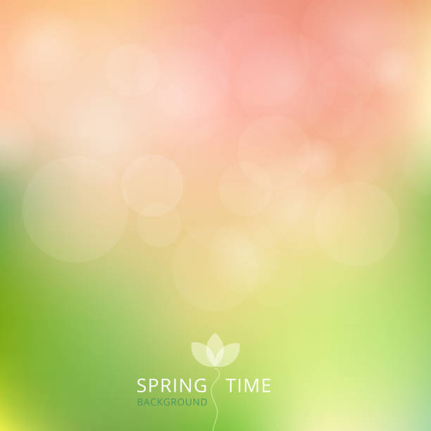 ilustraciones, imágenes clip art, dibujos animados e iconos de stock de primavera verano otoño verde y rosado color tono con fondo bokeh. - spring defocused summer vector