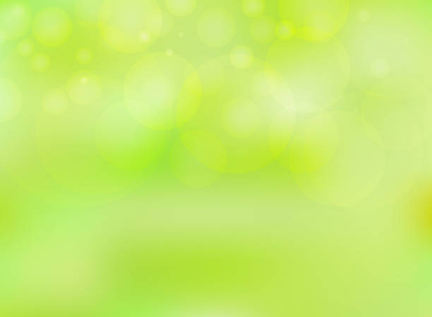 istock Abstract nature blurred background and bokeh on green background with place for text. 929493896
