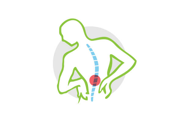 Chiropractic Body icon, Chiropractic Body Pain Exercice Vector spine diagnostics symbol design icon, back pain stock illustrations