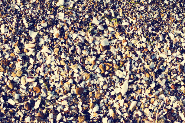 Pebbles on the beach near the sea. Pebbles Along  Sea. Relax by the pool, summer vacation.