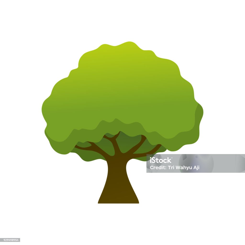 Isolated Simple Shady Tree Plant Illustration Stock Illustration ...