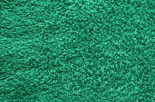 shaggy alfombra verde - cormorán moñudo fotografías e imágenes de stock