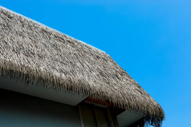 istock wood roof texture abstract background 929516026