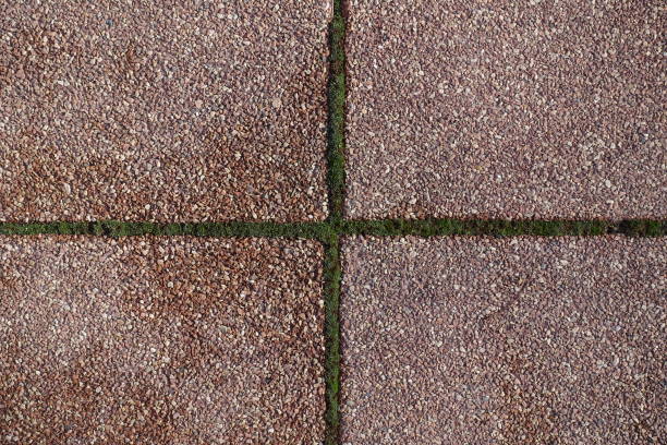Exposed aggregate pavement with crossed joints with moss