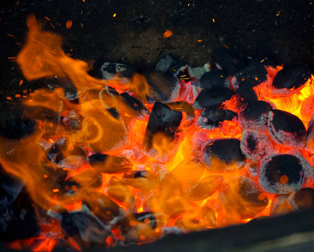 istock Warm fireplace with lots of trees ready for barbecue 929532584