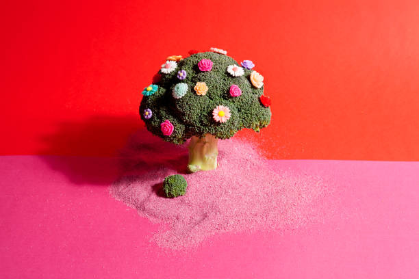 istock pink red broccoli flowers and sand 929532638