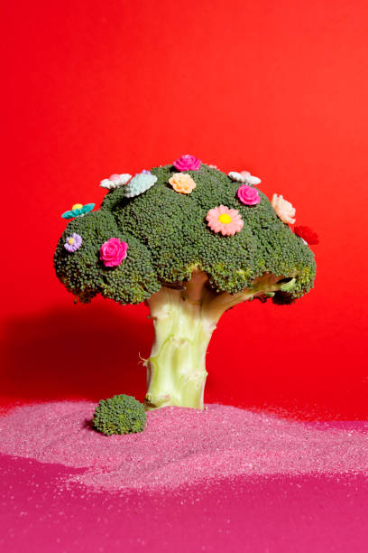 istock pink red broccoli flowers and sand 929532642