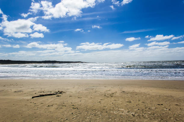 istock beach in Punta Del Diablo - Uruguay 929533650