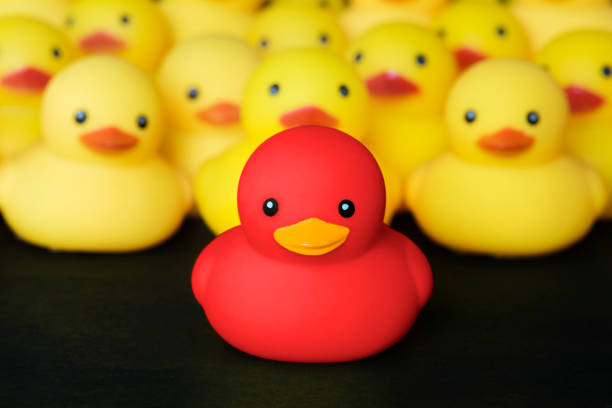 Photo of Closeup of rubber duckies