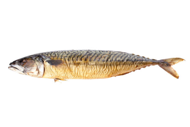 istock single smoked fish mackarel isolated on white background 929536230