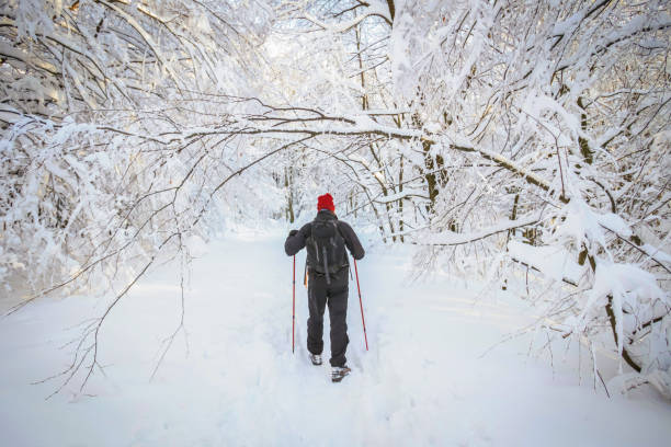 istock Man hiker on a snowy mountain 929538038