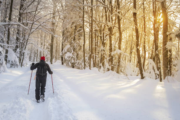 istock Man hiker on a snowy mountain 929538070