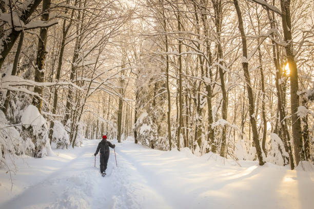 istock Man hiker on a snowy mountain 929538082