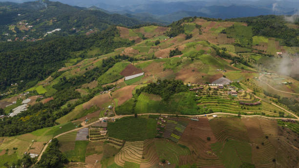 istock Top view of the rice paddy fields in northern Thailand 929555740