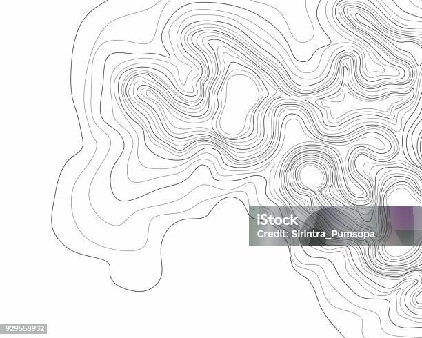 Abstract Black And White Topographic Contours Lines Of Mountains Topography Map Art Curve Drawing Vector Illustration Stock Illustration - Download Image Now